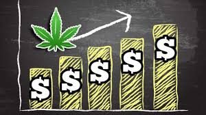 5 Azioni di Marijuana più Redditizie Oggi